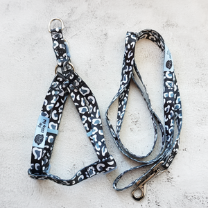 size medium black and white leopard print dog strap harness and lead set